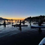 Brentwood Bay: Bioluminescence Tour - The Experience in Detail