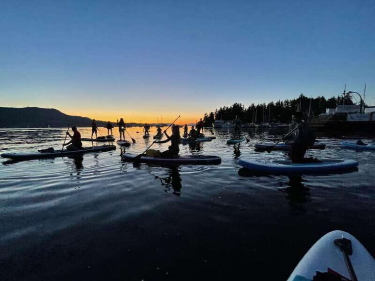 Brentwood Bay: Bioluminescence Tour - The Experience in Detail