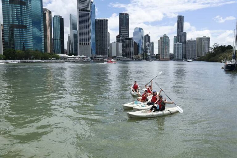 Brisbane: 2-Hour Kayak Hire on Brisbane River - Who Should Consider This Tour?