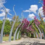 Brisbane : City Highlights Private Walking Tour - A Closer Look at the Itinerary