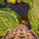 Brisbane: Hot Air Balloon Flight with Vineyard Breakfast - The Itinerary in Detail