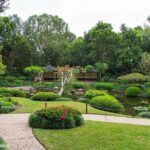 Brisbane Insights Tour - What’s Included and What’s Not