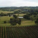 Brisbane: Picnic in the Vines - The Food & Setting