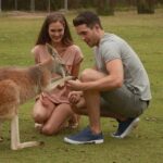 Brisbane River Cruise and Koala Sanctuary Visit - Reaching the Lone Pine Koala Sanctuary