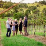 Brisbane: Wine & Dine In The Vines - Practical Details and Logistics