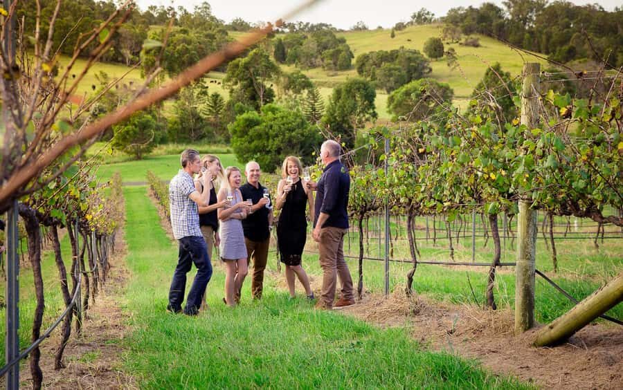 Brisbane: Wine & Dine In The Vines - Practical Details and Logistics