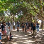 Broken Head Aboriginal Tour - Why We Think This Tour Offers Great Value