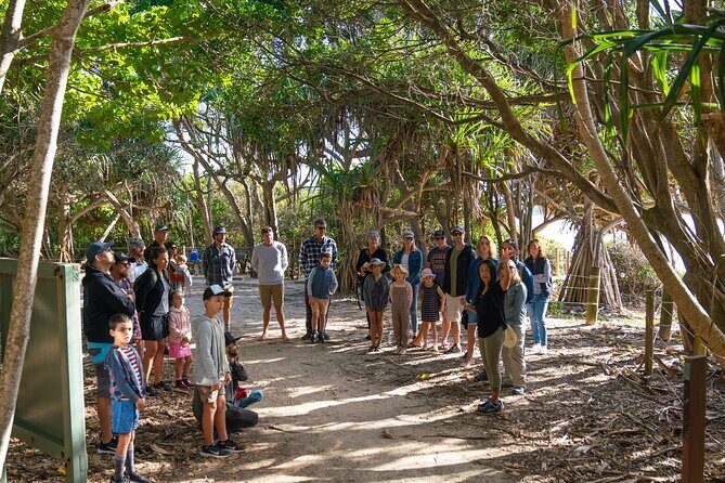 Broken Head Aboriginal Tour - Why We Think This Tour Offers Great Value