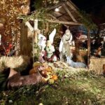 Brooklyn Dyker Heights Christmas Wonderland Bus Tour - The Sum Up
