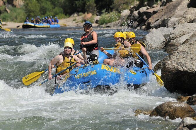 Browns Canyon Half-Day Whitewater Rafting Tour from Buena Vista - The Logistics: Timing, Duration, and Cost