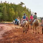 Brudenell: Family-Friendly Horse Ride goes on the Beach - The Experience in Detail