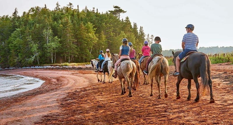 Brudenell: Family-Friendly Horse Ride goes on the Beach - The Experience in Detail