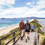 Bruny Island Food, Sightseeing, Guided Lighthouse Tour & Lunch - How Does It Stack Up in Value?