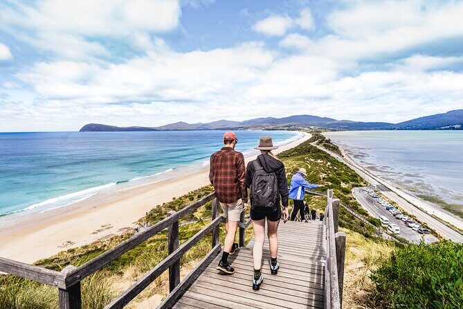 Bruny Island Food, Sightseeing, Guided Lighthouse Tour & Lunch - How Does It Stack Up in Value?