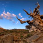 Bryce Canyon: 2-Hour, 4-Seat or 5-Seat ATV Rental - Why You Should Consider This