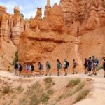 Bryce Canyon and Zion National Park Tour - Traveler Insights and Practicalities
