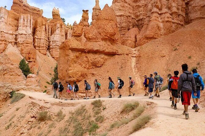 Bryce Canyon and Zion National Park Tour - Traveler Insights and Practicalities