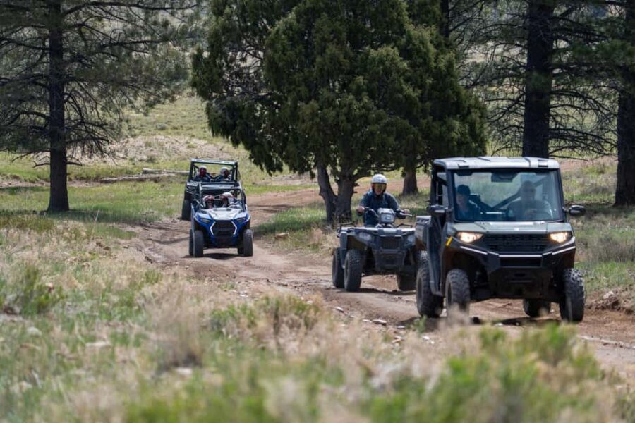 Bryce Canyon City Guided ATV/RZR Tour - The Real Experience: What Travelers Say