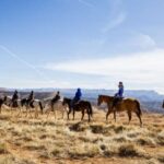 Bryce Canyon: Horseback Ride in the Dixie National Forest - The Horses and the Tour Logistics