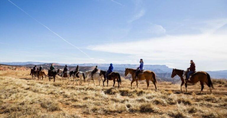 Bryce Canyon: Horseback Ride in the Dixie National Forest - The Horses and the Tour Logistics