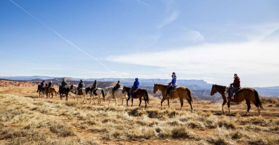 Bryce Canyon: Horseback Ride in the Dixie National Forest - The Horses and the Tour Logistics