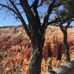 Bryce Canyon Private Tour - Stop 1: Bryce Canyon National Park