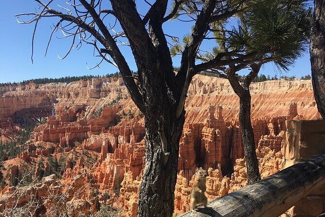 Bryce Canyon Private Tour - Stop 1: Bryce Canyon National Park