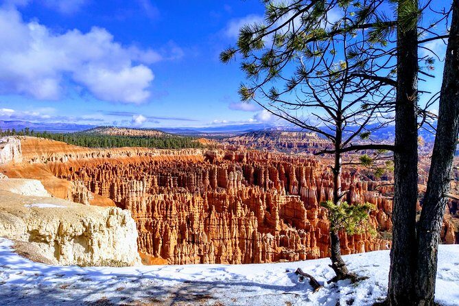 Bryce Canyon & Zion National Parks from Vegas, Lunch, Free WiFi - What Makes This Tour Stand Out