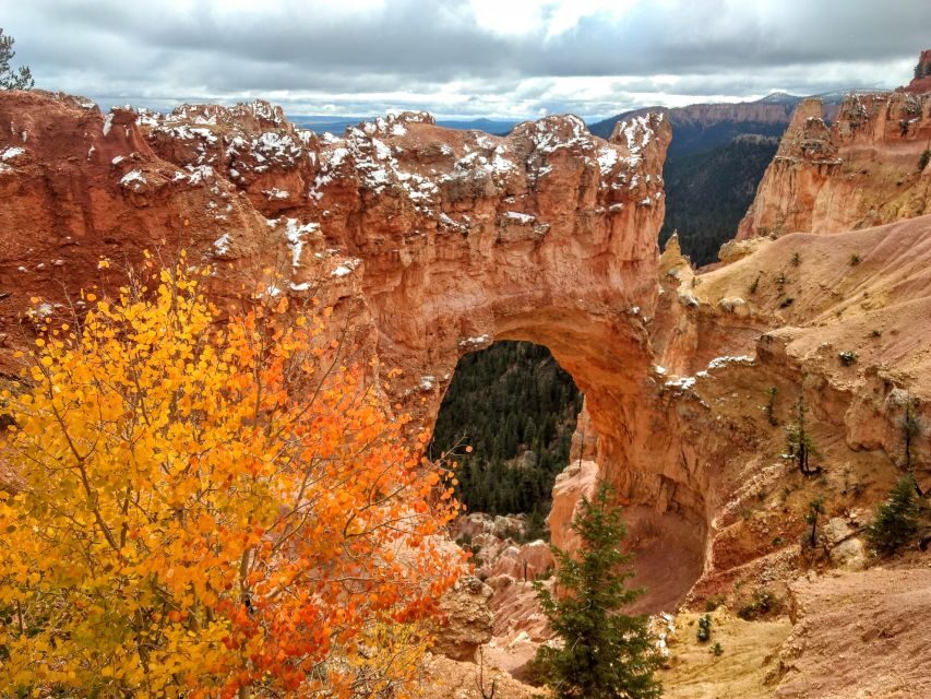 Bryce: Guided Sightseeing Tour of Bryce Canyon National Park - A Detailed Look at the Itinerary