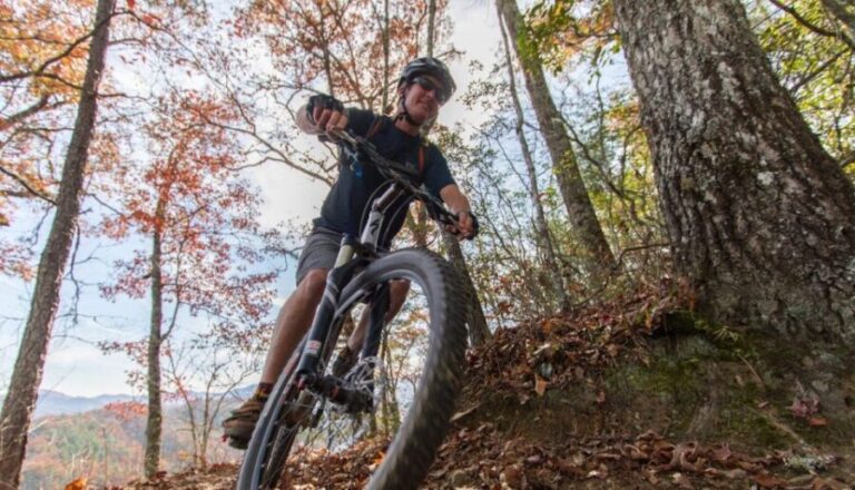 Bryson City: Tsali Recreation Area Guided Mountain Bike Tour - The Trails and the Views