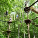 Bryson City: Zip Line Adventure Park Pass with Gear - The Details That Matter