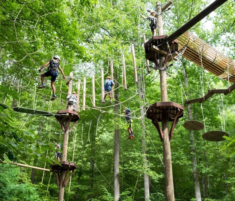 Bryson City: Zip Line Adventure Park Pass with Gear - The Details That Matter