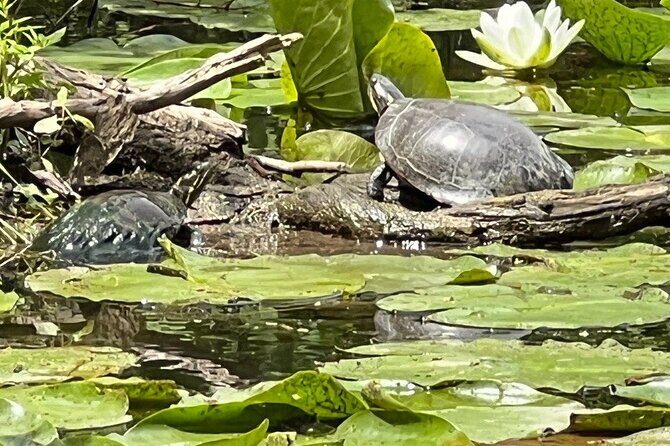 Buckhorn State Park nature hike, kayaking tour, and fishing - Final Thoughts