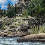 Buena Vista: Browns Canyon Raft Adventure - The Experience Breakdown