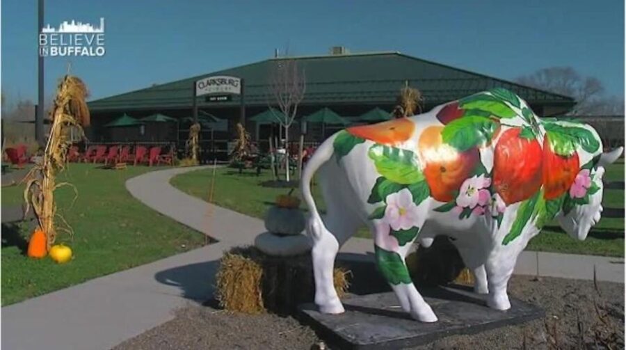 Buffalo: Beer Tasting Pass - How Does It Work?