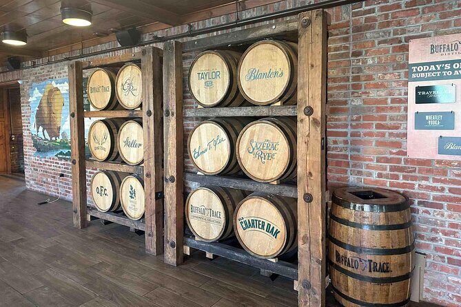 Buffalo y/ or Wiskey Thief & Churchill Twilight Racing Experience - Additional Details