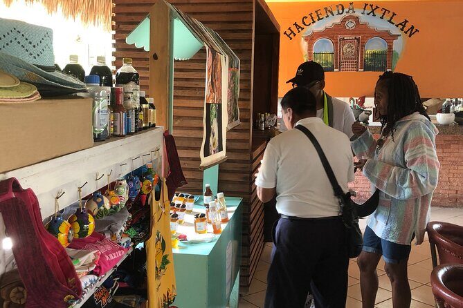 Buggy Trip in Cozumel Island with transfer from Riviera Maya - Authentic Traveler Insights