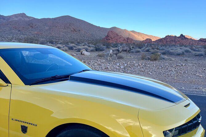 Bumblebee Camaro Tour: Transformers Movie Locations - Tour Itinerary: What You Can Expect