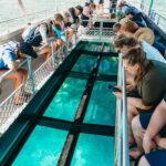 Bundaberg: Lady Musgrave Island and Great Barrier Reef Tour - Who Is This Tour Perfect For?