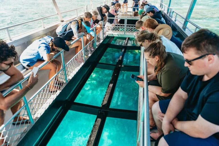 Bundaberg: Lady Musgrave Island and Great Barrier Reef Tour - Who Is This Tour Perfect For?