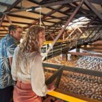 Bundaberg Rum Behind The Scenes Distillery Tour And Museum Experience - The Reality: What’s Not So Great