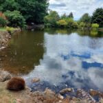 Burnie Attractions Bus - Who Would Love This Tour?