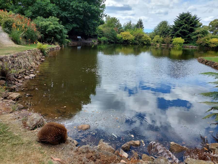 Burnie Attractions Bus - Who Would Love This Tour?