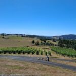 Burnie Shore Excursion: Tasting Trail Tour - Practical Tips & Observations