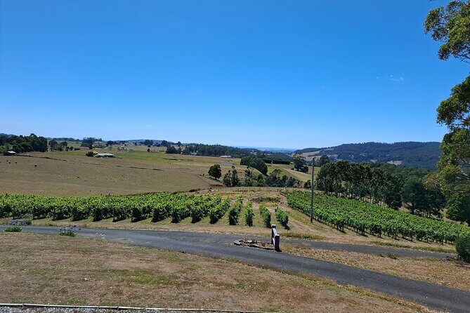 Burnie Shore Excursion: Tasting Trail Tour - Practical Tips & Observations