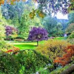 Butchart Gardens and City Highlights Private tour - Real Travelers’ Insights and Experiences