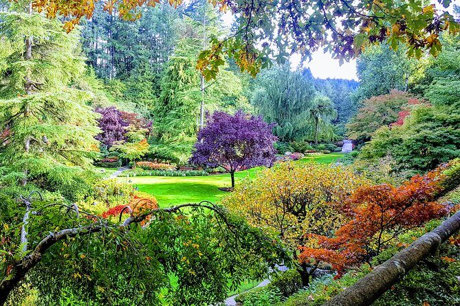 Butchart Gardens and City Highlights Private tour - Real Travelers’ Insights and Experiences