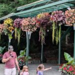 Butchart Gardens and City Private Tour - Who Is This Tour Best For?