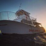 BYOB Friday Night Fireworks Cruise - Key Points