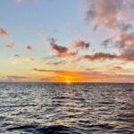 BYOB Sunset Cruise Waikiki - Deep Dive into the Experience